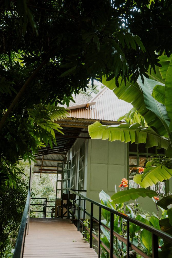 SAN00327 (1)